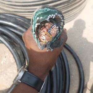 Armored Cable